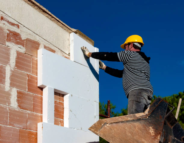 Best Cellulose Insulation in Country Squire Lakes, IN