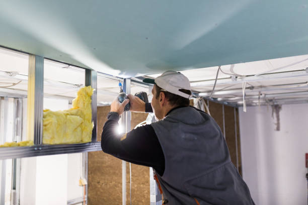 Best Commercial Insulation in Country Squire Lakes, IN