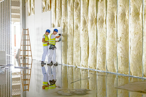 Best Blown-in Insulation in Country Squire Lakes, IN